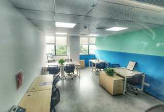 湖南猫杯状抗原检测卡哪家好