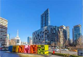 人血小板裂解液